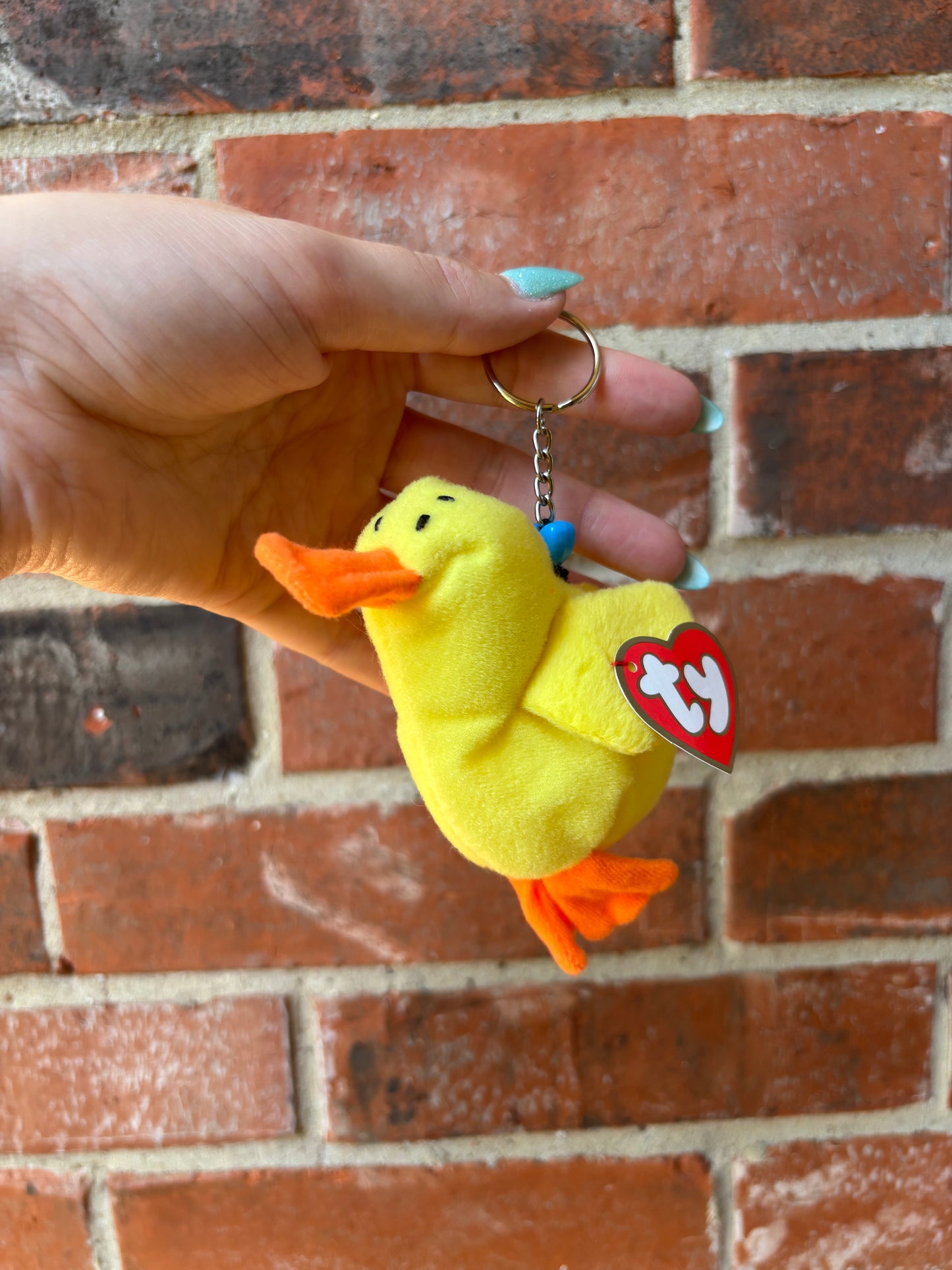 Quacks The Duck