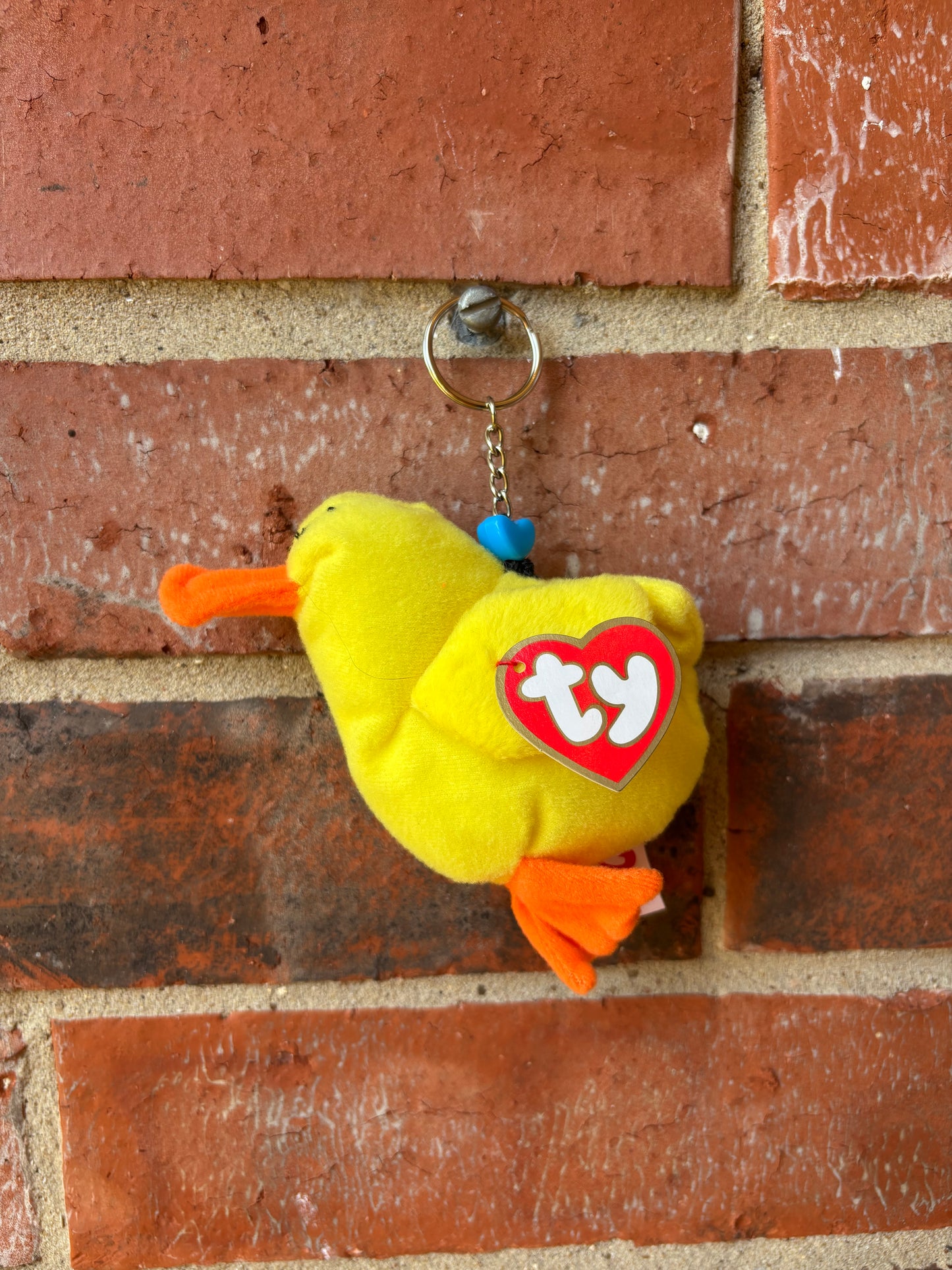 Quacks The Duck