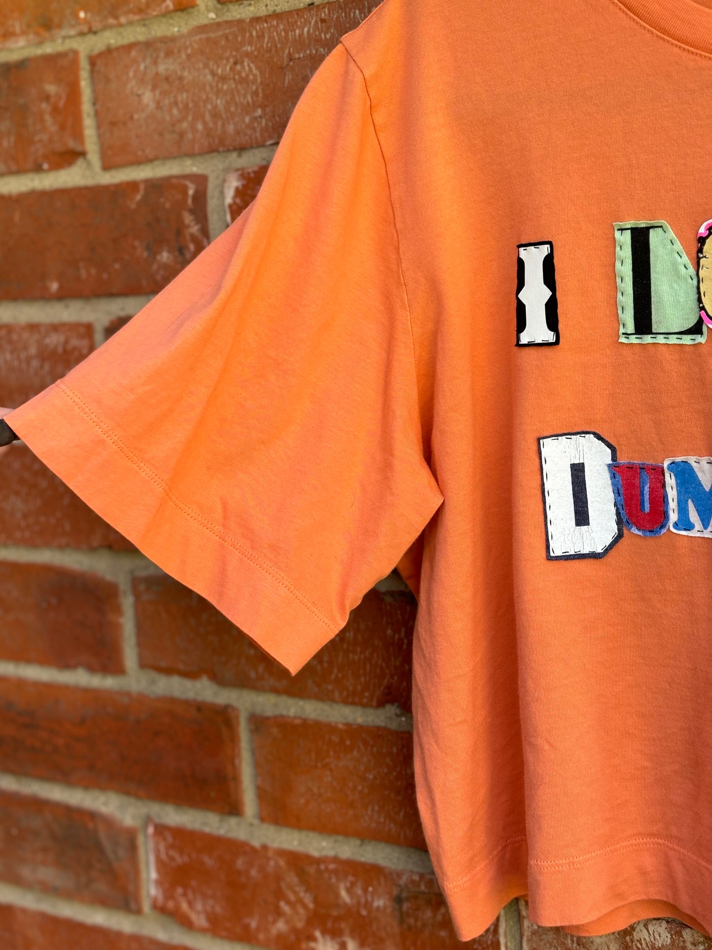 I Love This Dumb Band Cropped Tee - Orange (S)