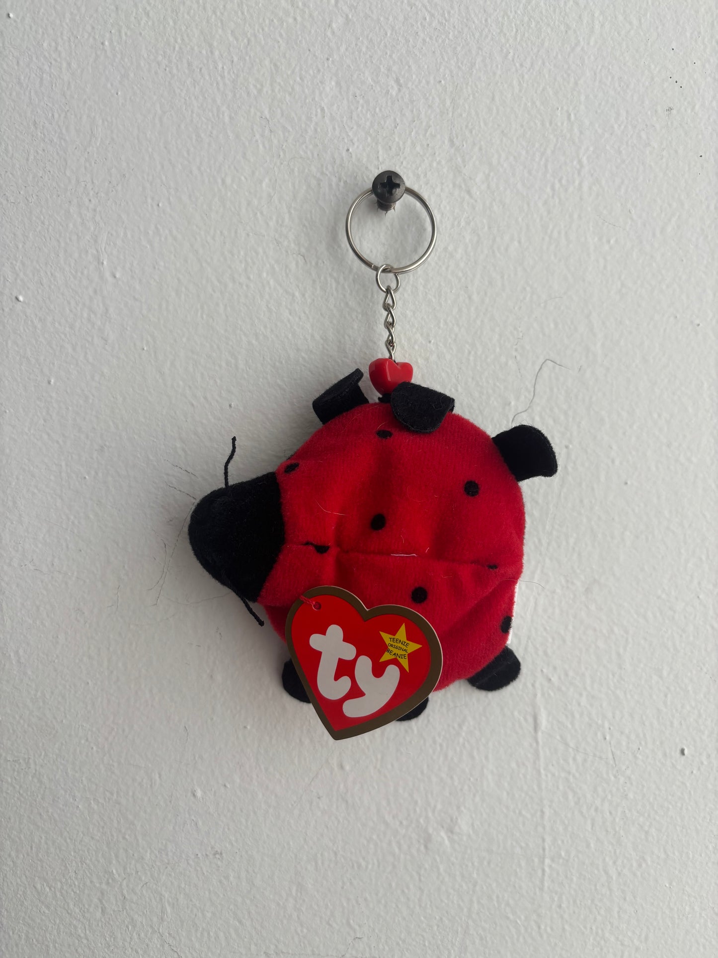Lucky The Ladybug