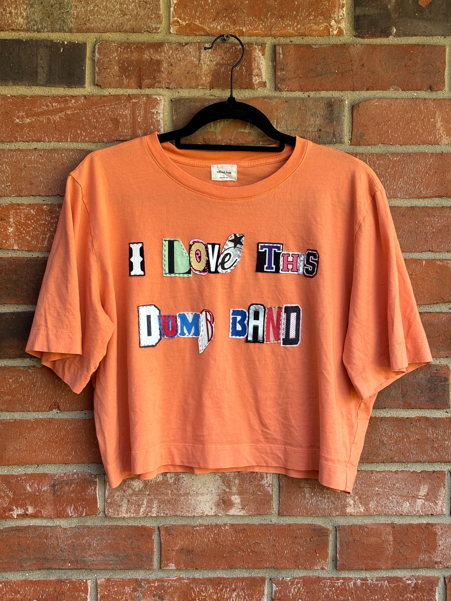 I Love This Dumb Band Cropped Tee - Orange (S)