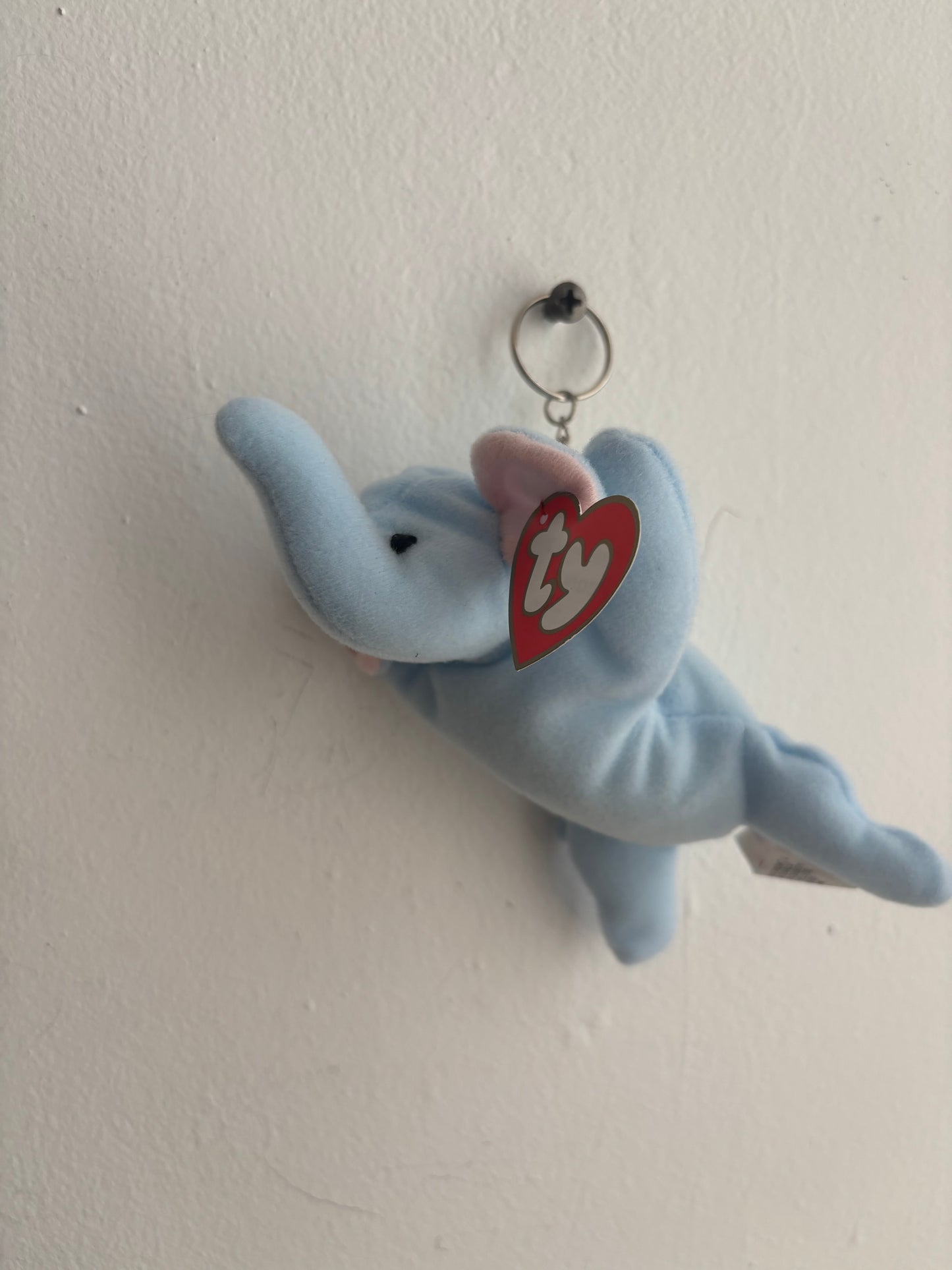 Peanut The Elephant