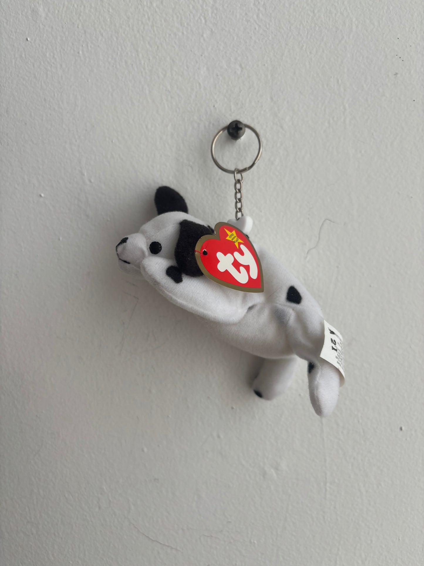 Dotty The Dalmation