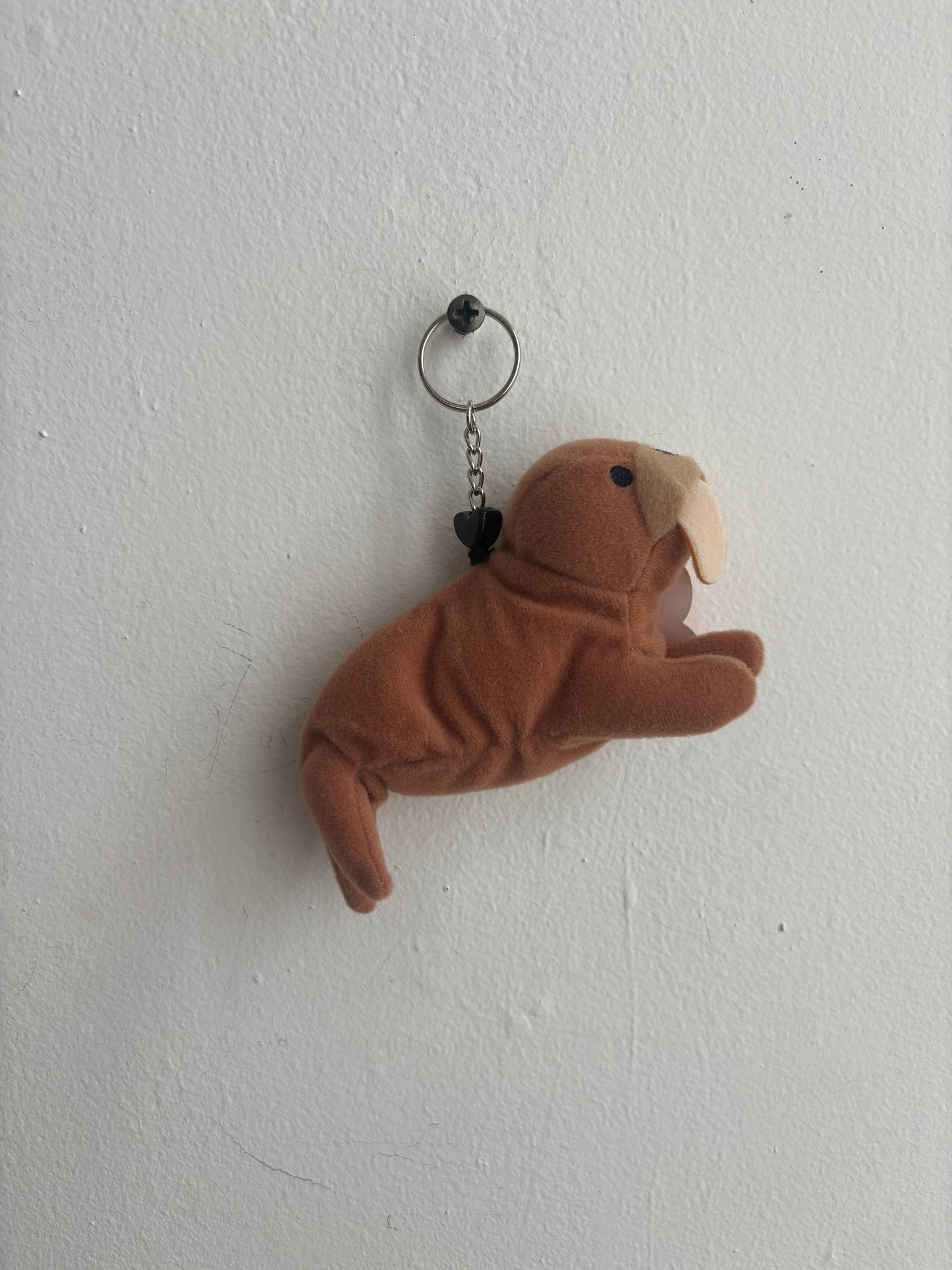 Tusk The Walrus