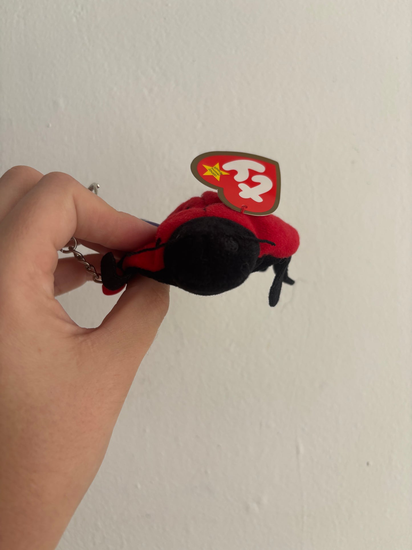 Lucky The Ladybug