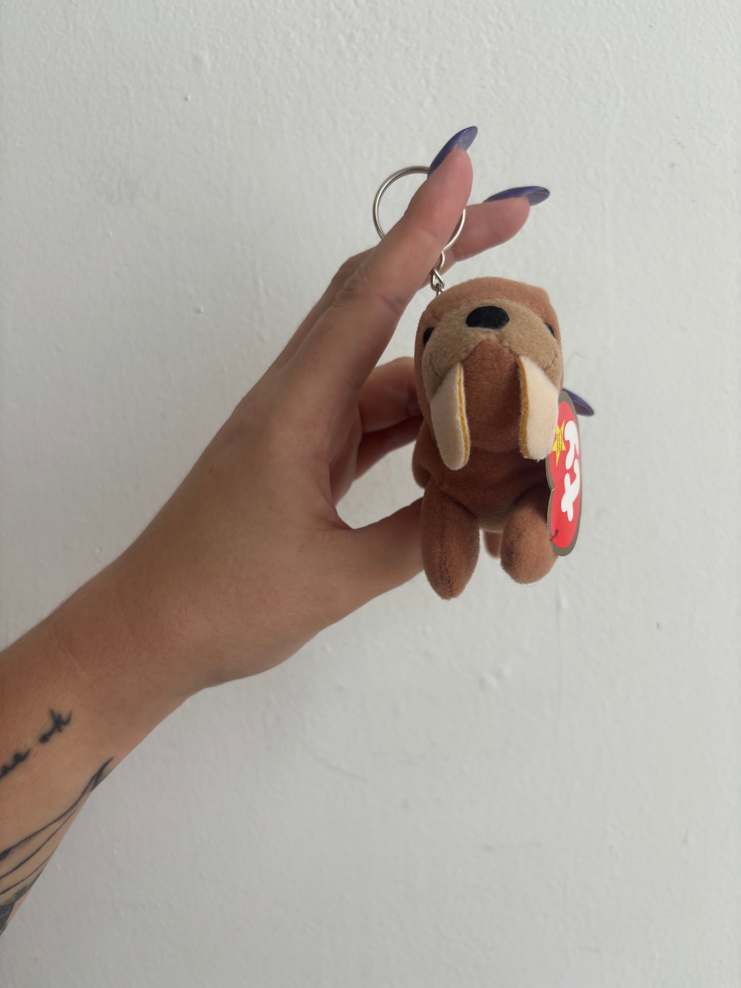 Tusk The Walrus