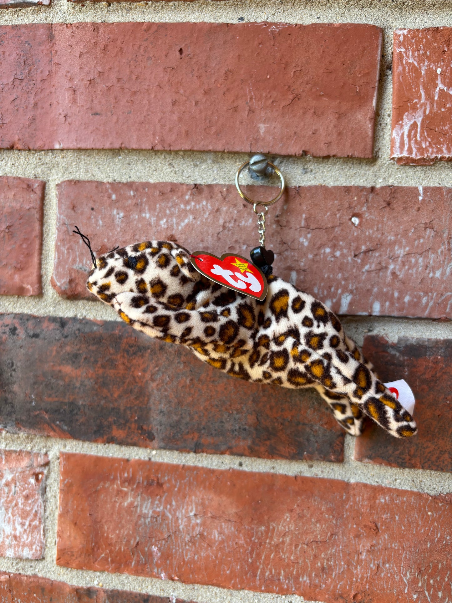 Freckles The Leopard