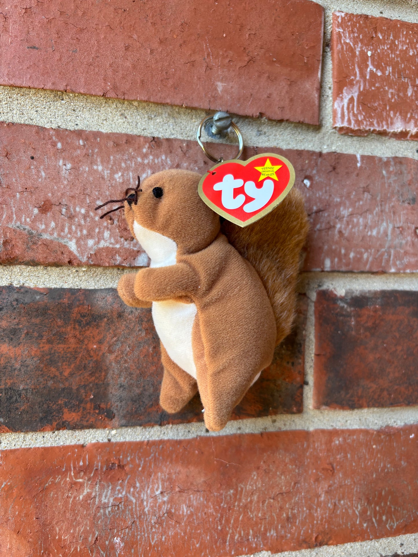 Nuts The Squirrel