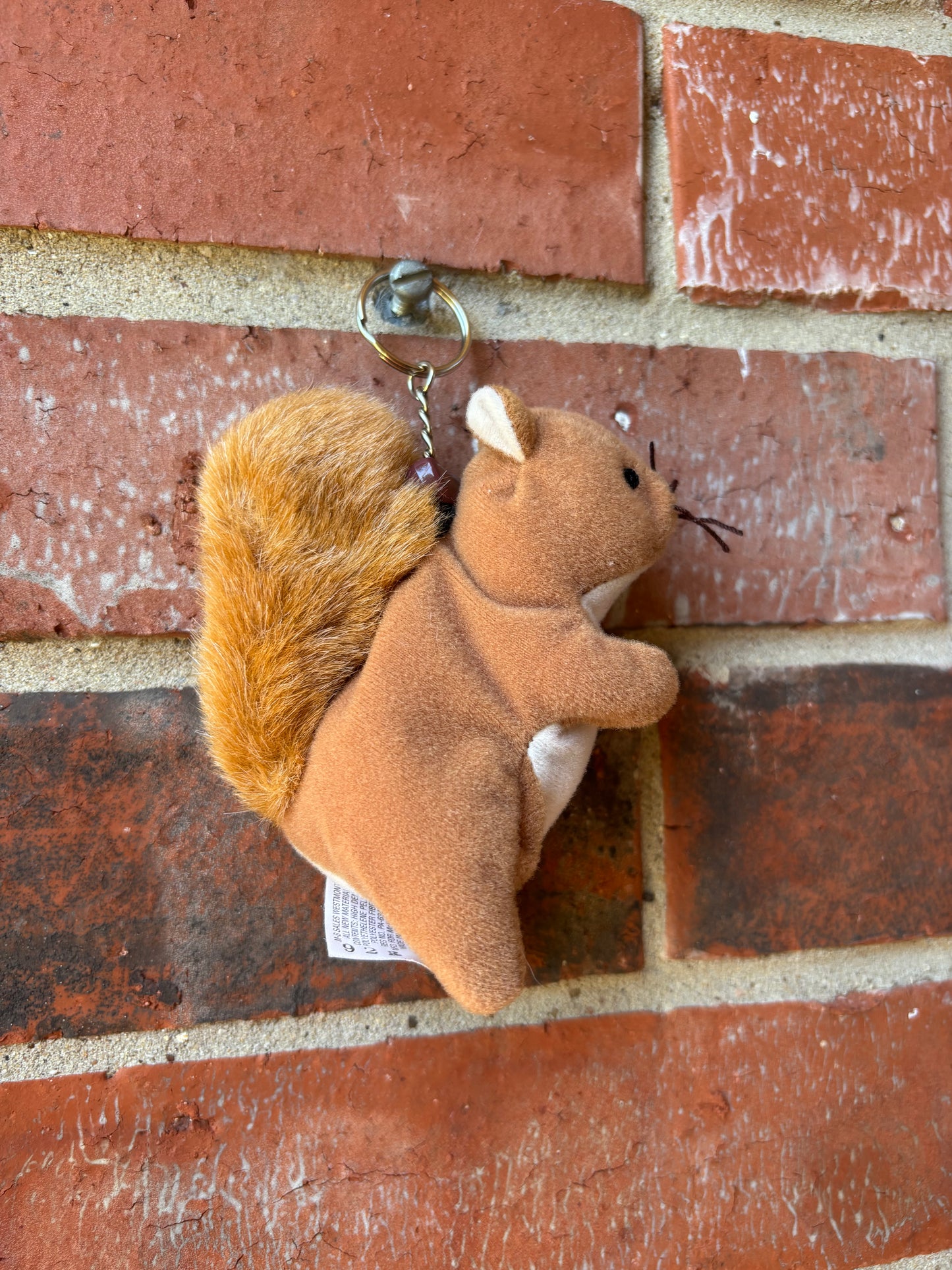 Nuts The Squirrel
