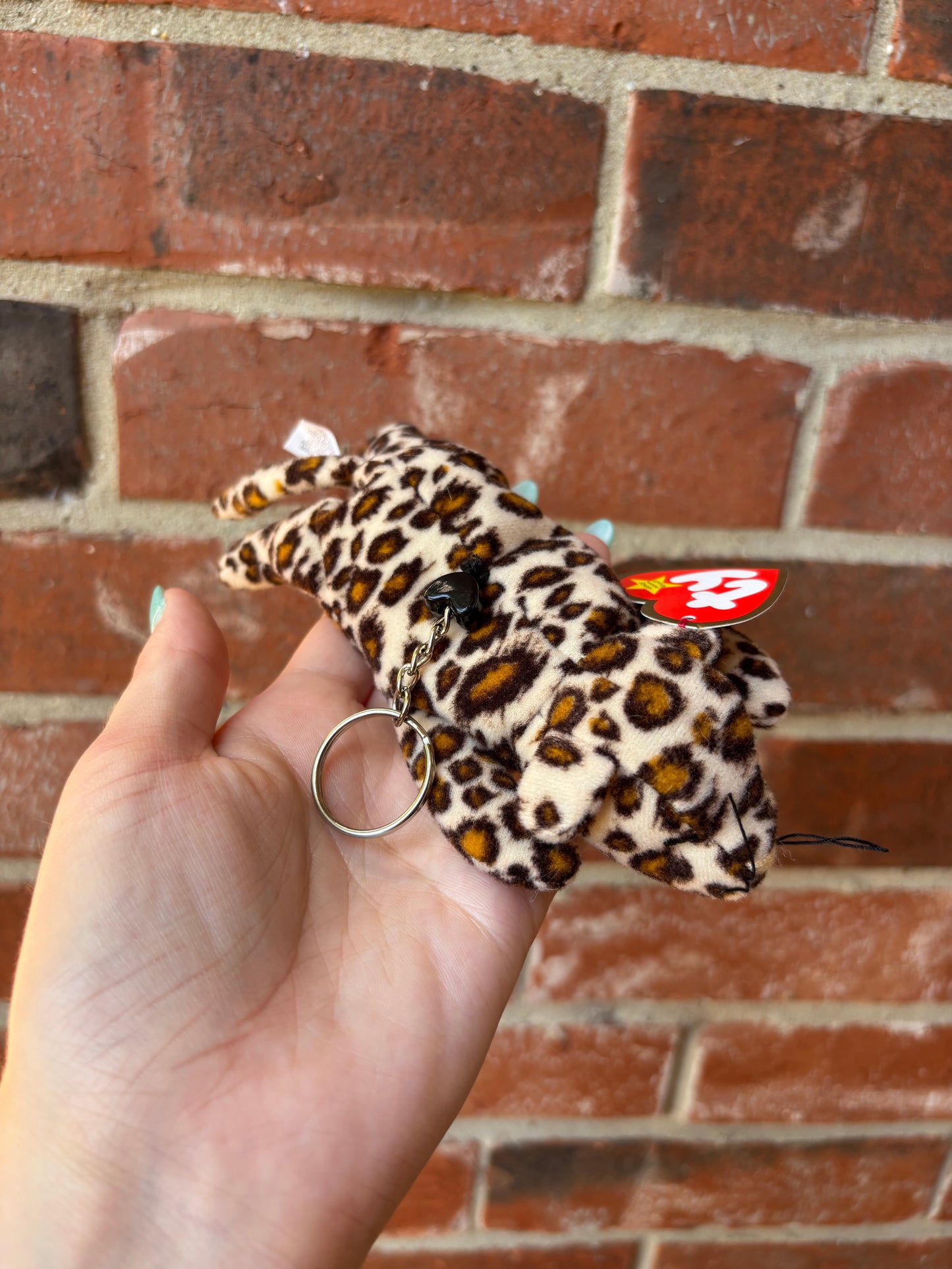 Freckles The Leopard