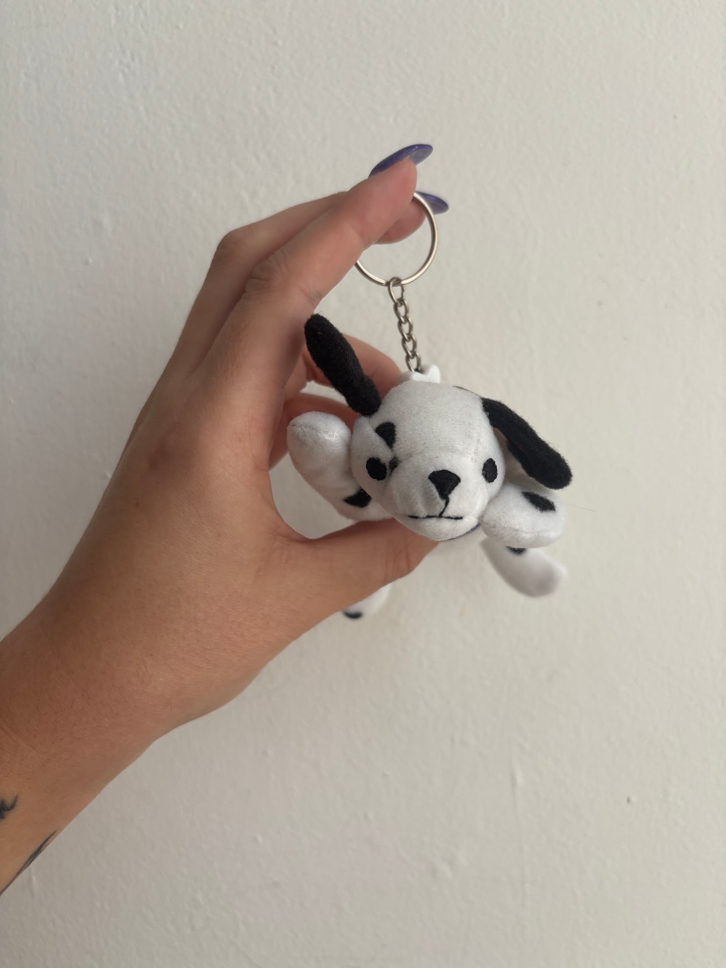 Dotty The Dalmation