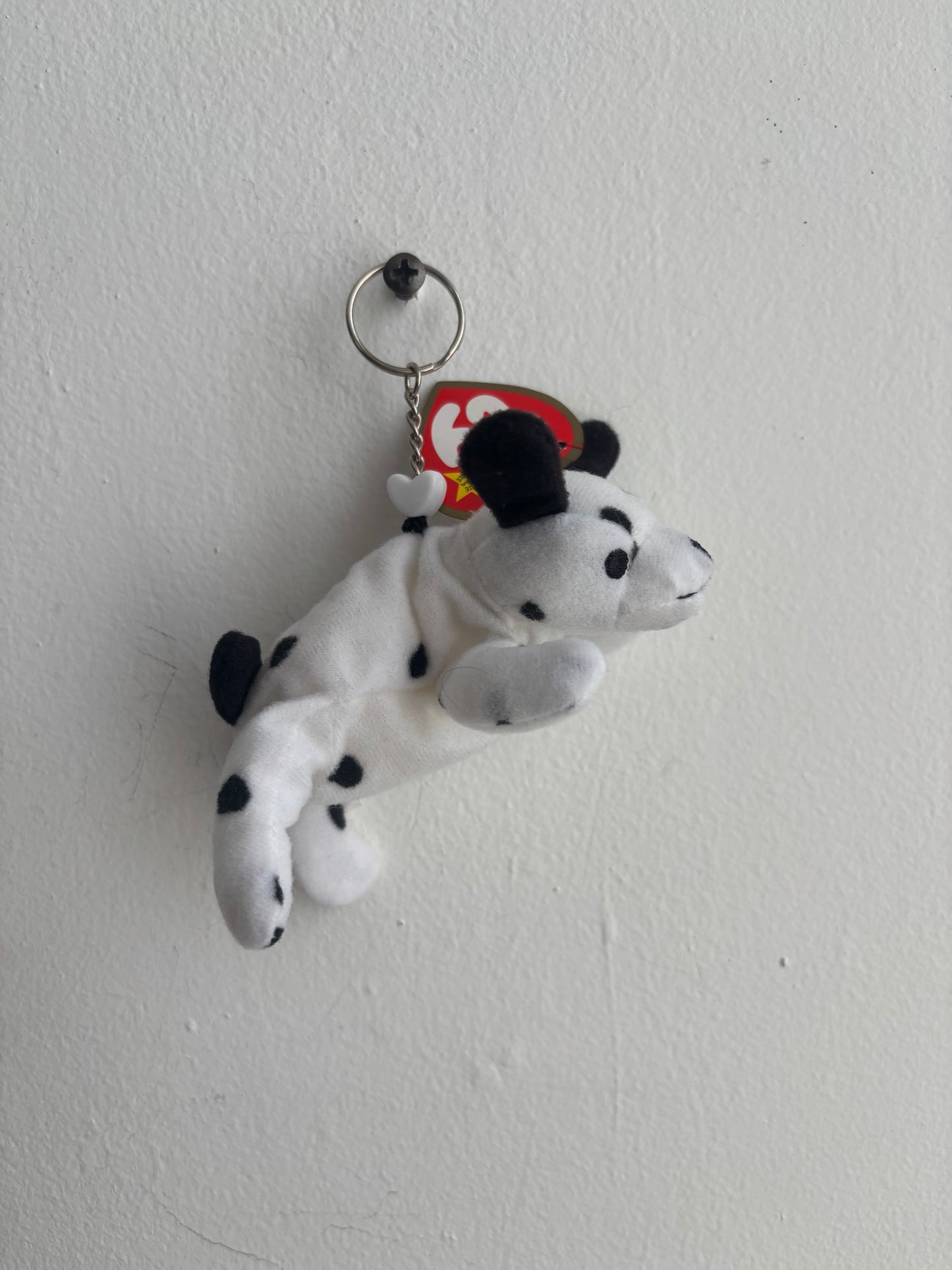 Dotty The Dalmation