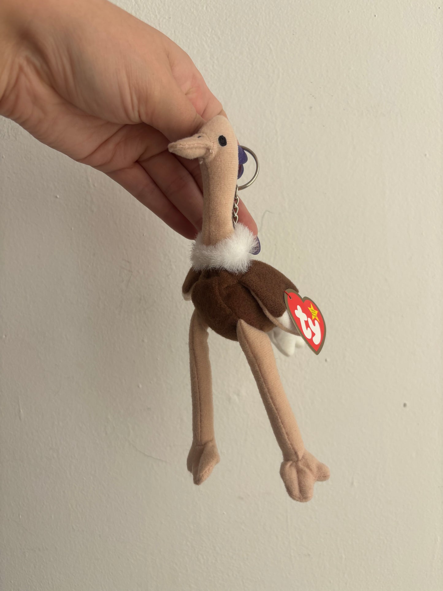 Stretchy The Ostrich